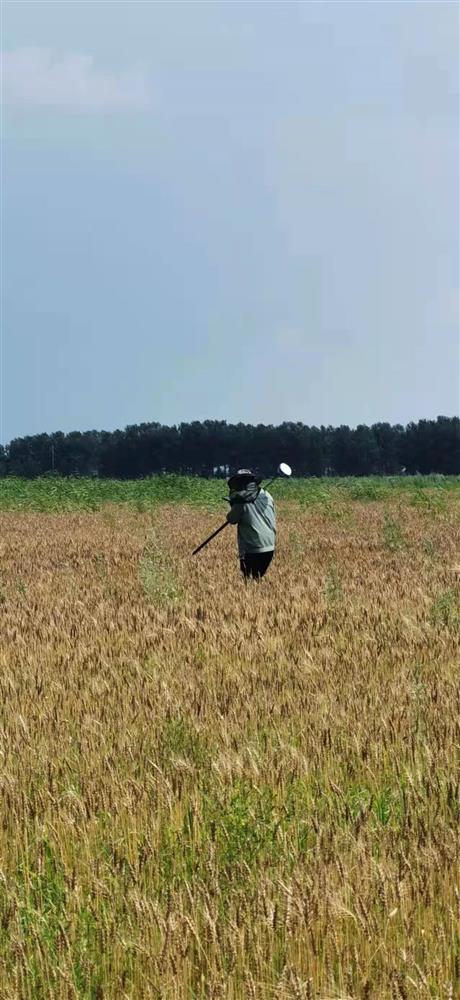 460×1000